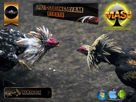 sabong gif|GoPerya .